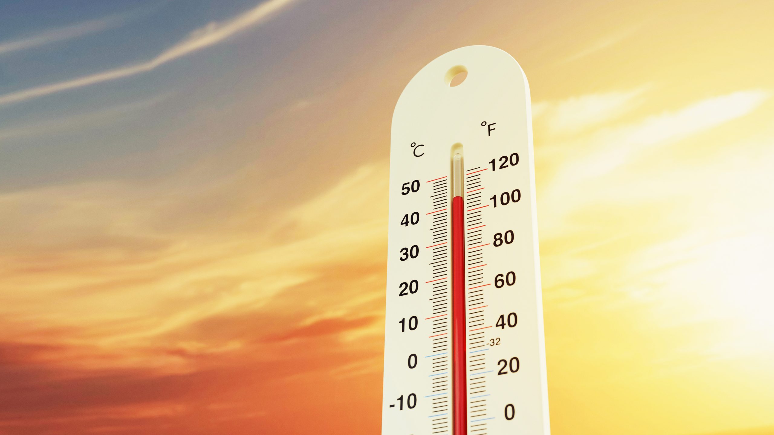 Canicule